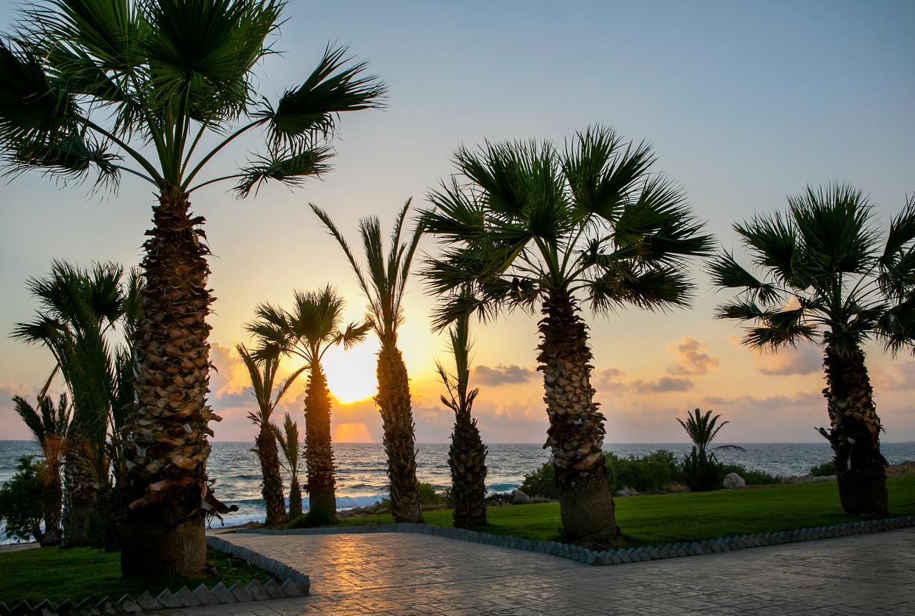 Louis Paphos Breeze Otel Klorakas Dış mekan fotoğraf