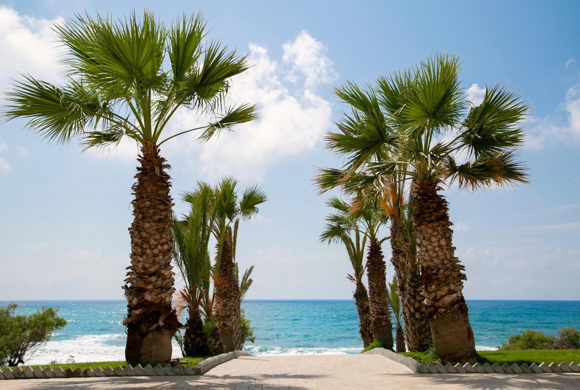Louis Paphos Breeze Otel Klorakas Dış mekan fotoğraf